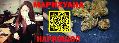 сатива Лесосибирск