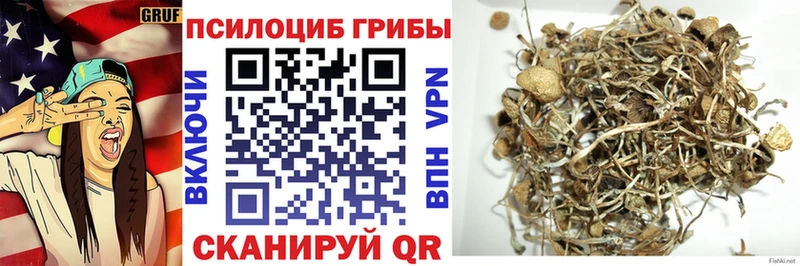 как найти закладки Ейск Галлюциногенные грибы мухоморы