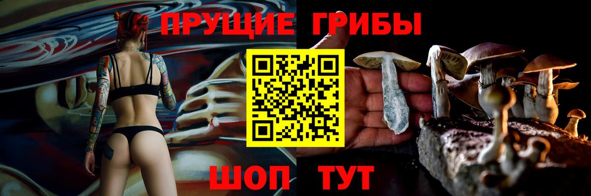 Псилоцибиновые грибы MAGIC MUSHROOMS  Вход с VPN  Ейск 